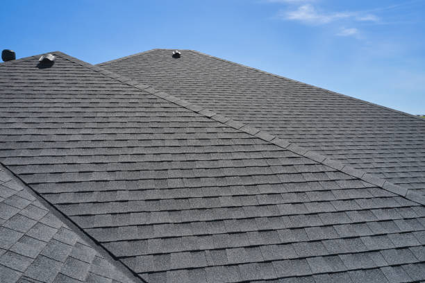 Best Chimney Flashing Repair  in North Sioux City, SD